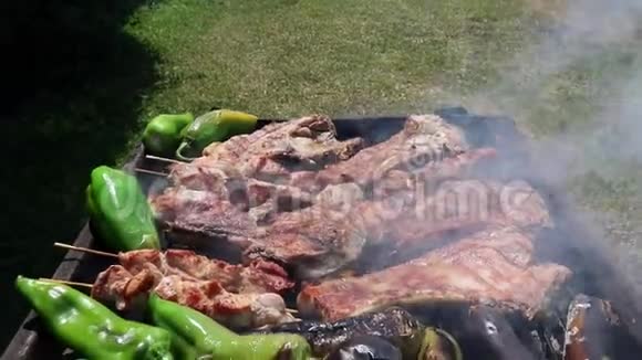 在花园里烧烤用牛排肉串和辣椒制成的烤架的倾斜镜头视频的预览图