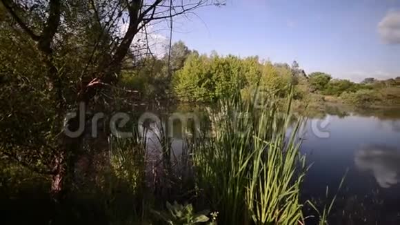 湖上日出自然视频的预览图