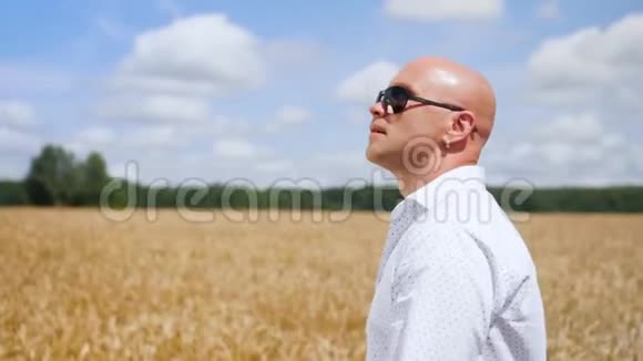 光秃秃的男人在金色麦田里唱歌中弹视频的预览图