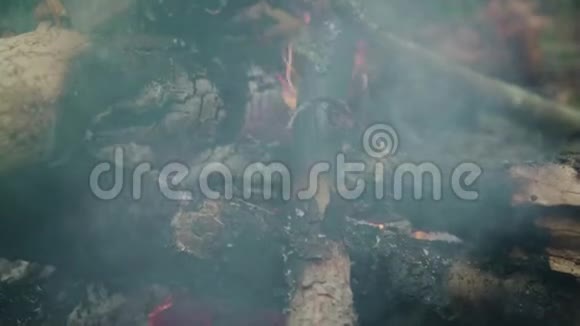 在壁炉特写中燃柴篝火中的火焰和烟雾视频的预览图