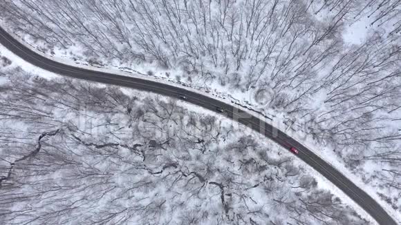 在白雪覆盖的森林中行驶在冬季道路上的汽车从无人驾驶飞机可以看到空中4k的景色视频的预览图