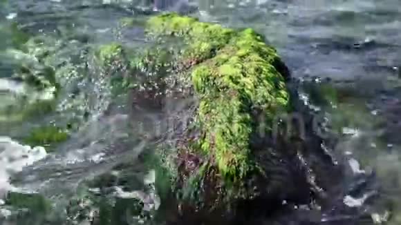 夏天石头从海水中伸出视频的预览图