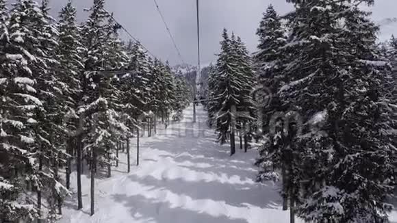 在冬季通过松林将椅子抬到山顶视频的预览图