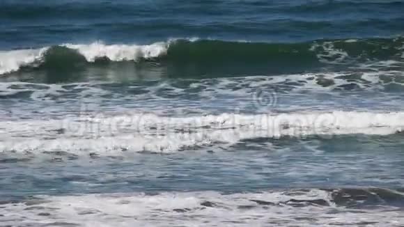 北加州冲浪者在海浪中游泳视频的预览图