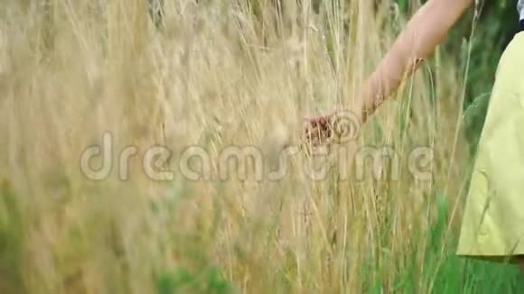 夏天小女孩走着摸着草地视频的预览图