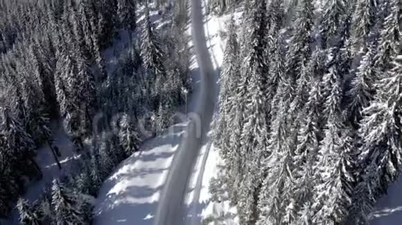 在白雪覆盖的森林中飞越冬季道路从无人驾驶飞机可以看到空中4k的景色视频的预览图