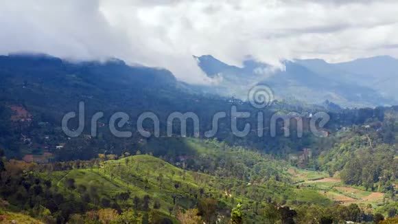 斯里兰卡夏普塔莱山地茶园景观视频的预览图