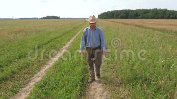 一位老人正沿着一条小径穿过一片农田视频的预览图