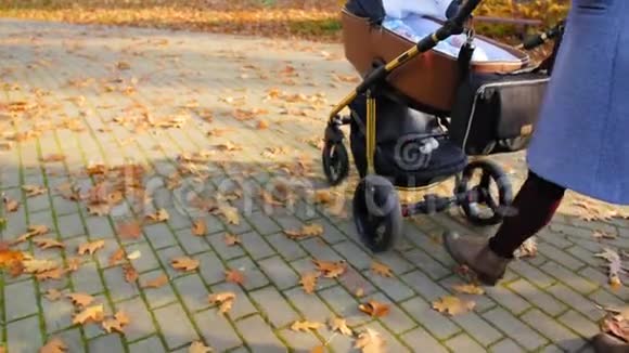 秋天的公园里妈妈带着宝宝在婴儿车里散步现代巡逻车里的孩子母性观念视频的预览图