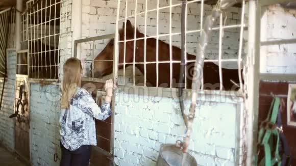 在马厩里的女孩视频的预览图