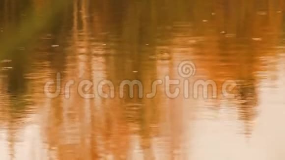 秋天的背景雨水湖的倒影视频的预览图