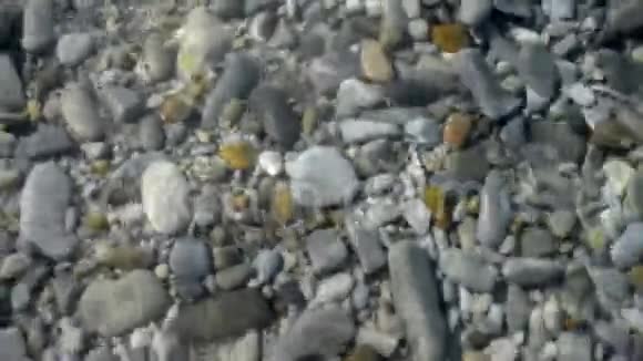 海边的沙滩伞和太阳床视频的预览图