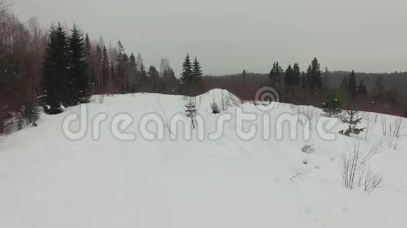 阴天时在一片覆盖着白雪的草地上低飞上面有灌木和毛视频的预览图