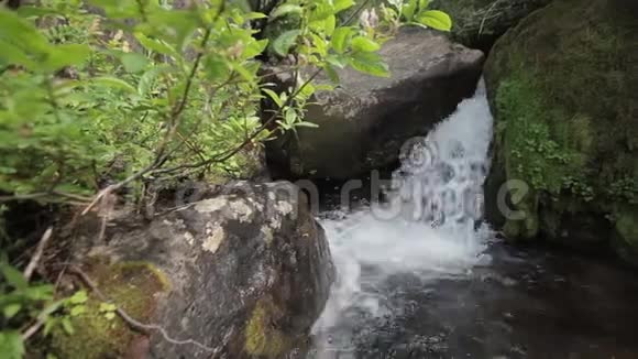 一个小瀑布视频的预览图