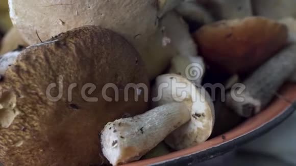 鲜切的豪奇诺蘑菇躺在桌子上的碗里视频的预览图