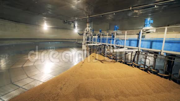 金属机在仓库烘干种子麦芽加工设备在麦芽厂啤酒厂视频的预览图
