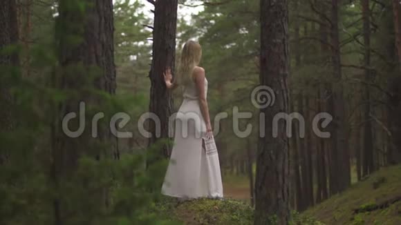 走着美丽的金发女郎穿着常绿木头的白衣森林仙女视频的预览图