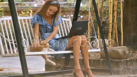 女孩坐在公园长椅上与红猫游泳视频的预览图