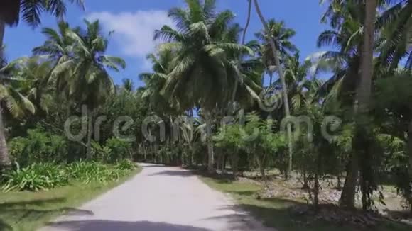 塞舌尔拉迪格外岛棕榈树和香草植物视频的预览图