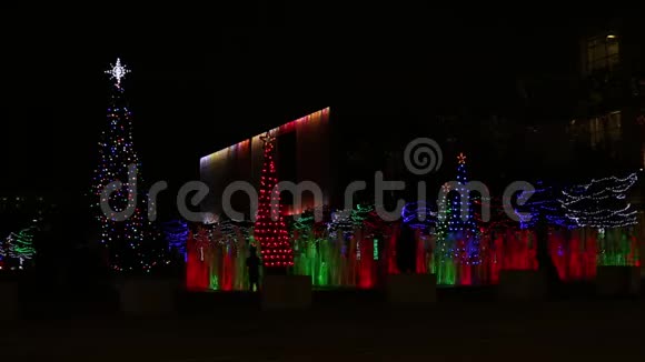 圣诞树和五颜六色的喷泉视频的预览图