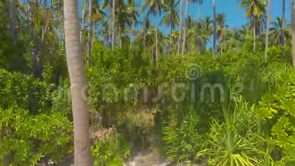 巴拉巴克小岛白色沙滩海岸线上的空中棕榈树视频的预览图