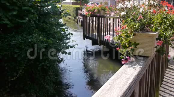 法国诺曼底的科尔米耶小河和鲜花盛开视频的预览图