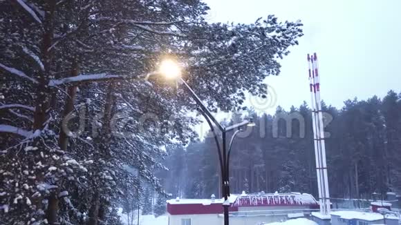 雪中森林背景下的路灯俯视图剪辑路灯照下雪的美丽景色视频的预览图