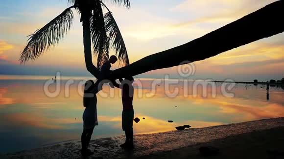 热带日落棕榈树剪影在海边幸福的家庭剪影与女儿在棕榈树上玩耍视频的预览图
