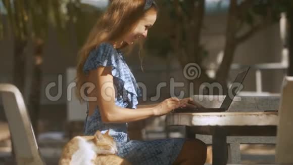 笔记本电脑键盘和红猫的美女类型视频的预览图