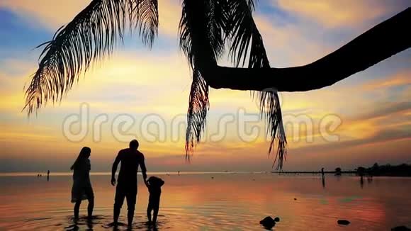 热带日落棕榈树剪影在海洋海滩女人男人和孩子沿着海岸散步家庭假日视频的预览图