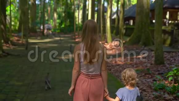 一名年轻女子和她的儿子在印度尼西亚巴厘岛的桑格猴子森林里行走时慢镜头拍摄视频的预览图