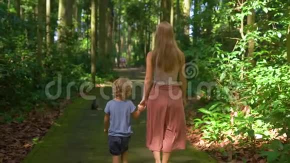 一名年轻女子和她的儿子在印度尼西亚巴厘岛的桑格猴子森林里行走时慢镜头拍摄视频的预览图