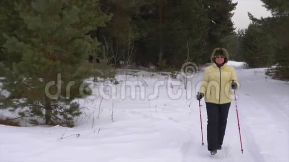 妇女与北欧两极走过冬季针叶林公路视频的预览图