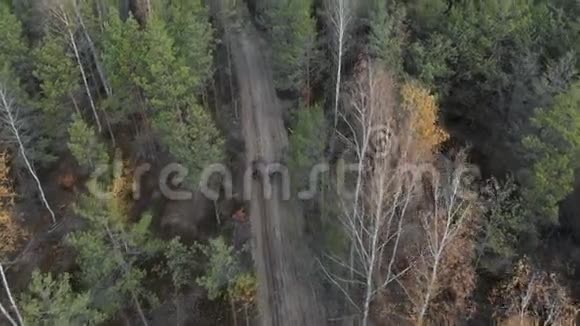 在泰加的森林道路上行走的旅客的俯视图视频的预览图