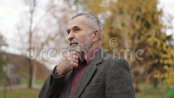 公园里的老爷爷他的手靠近他的胡子视频的预览图