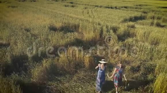 空中飞行女朋友正走在田野上的高草上两个穿着乡村服装的可爱女孩走过视频的预览图
