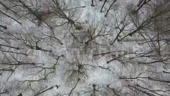 德国莫尔斯冬季森林劳尔斯福特的鸟瞰图视频的预览图