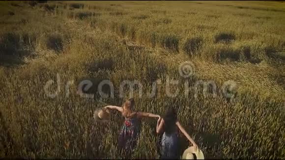 空中飞行女孩们正沿着草地上高高的草地散步两个穿乡村服装的年轻女子扔草帽视频的预览图