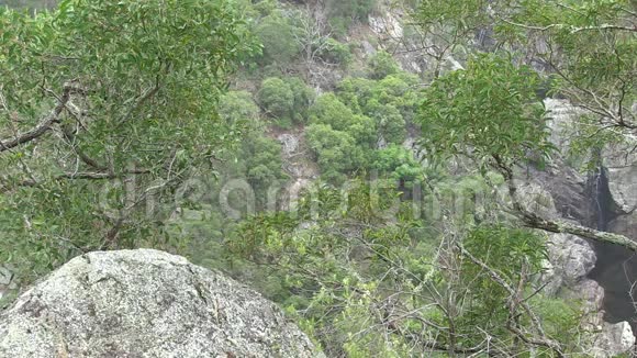 贝克溪峡谷沿瀑布路新南威尔士州澳大利亚视频的预览图