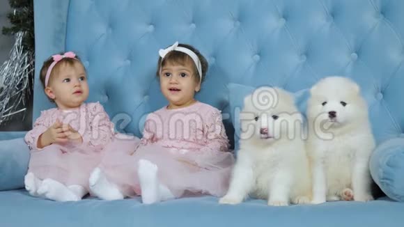 童年头上戴蝴蝶结的可爱双胞胎坐在沙发上的两只白色毛茸茸的小狗旁边视频的预览图