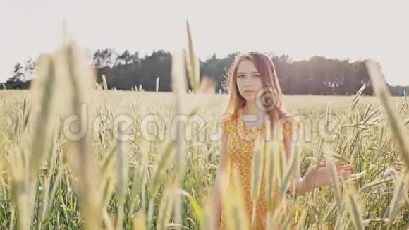 一个美丽的年轻浪漫女孩独自走过一片绿色的麦田抚摸着麦穗她热爱大自然视频的预览图