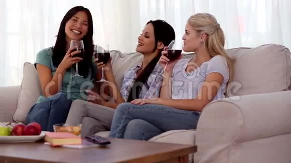 一群朋友在喝红酒时玩得开心视频的预览图