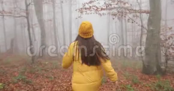 秋天的震动雾蒙蒙的森林漂亮的黑发女人长发穿着黄色的衣服穿过森林视频的预览图
