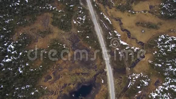 春天云杉林和沼泽的鸟瞰图阴天的泰加景观无人驾驶飞机的跨度视频的预览图