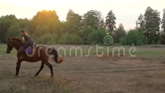 日落时骑马的女人骑马慢动作视频的预览图