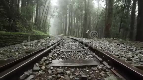 沿着阿里山风景区森林中的老Desolete铁路走着雾雾和雾台湾的视角视频的预览图