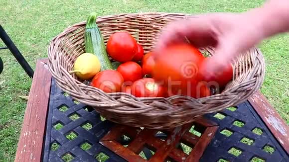 园丁把刚收获的蔬菜和水果放进农场的篮子里视频的预览图