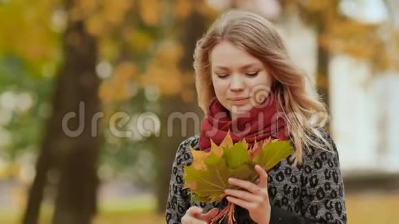 年轻美丽的女孩带着一束秋叶高兴地摆姿势给相机享受秋天的季节视频的预览图