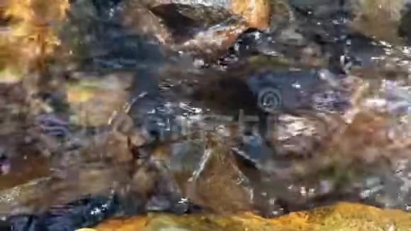 纯净的河水流淌视频的预览图