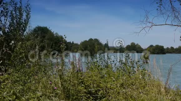 法国诺曼底的湖泊和树木景观视频的预览图